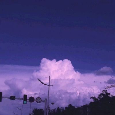 地城蔷薇游戏官方下载